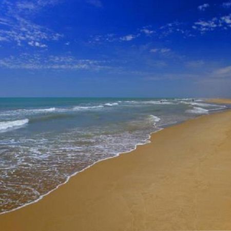 Mas Illa De Riu - Autentica Masia Del Delta Del Ebro Con Capacidad Para 20 Personas - Deltavacaciones 圣海梅-德恩韦哈 外观 照片