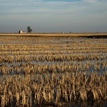 Mas Illa De Riu - Autentica Masia Del Delta Del Ebro Con Capacidad Para 20 Personas - Deltavacaciones 圣海梅-德恩韦哈 外观 照片
