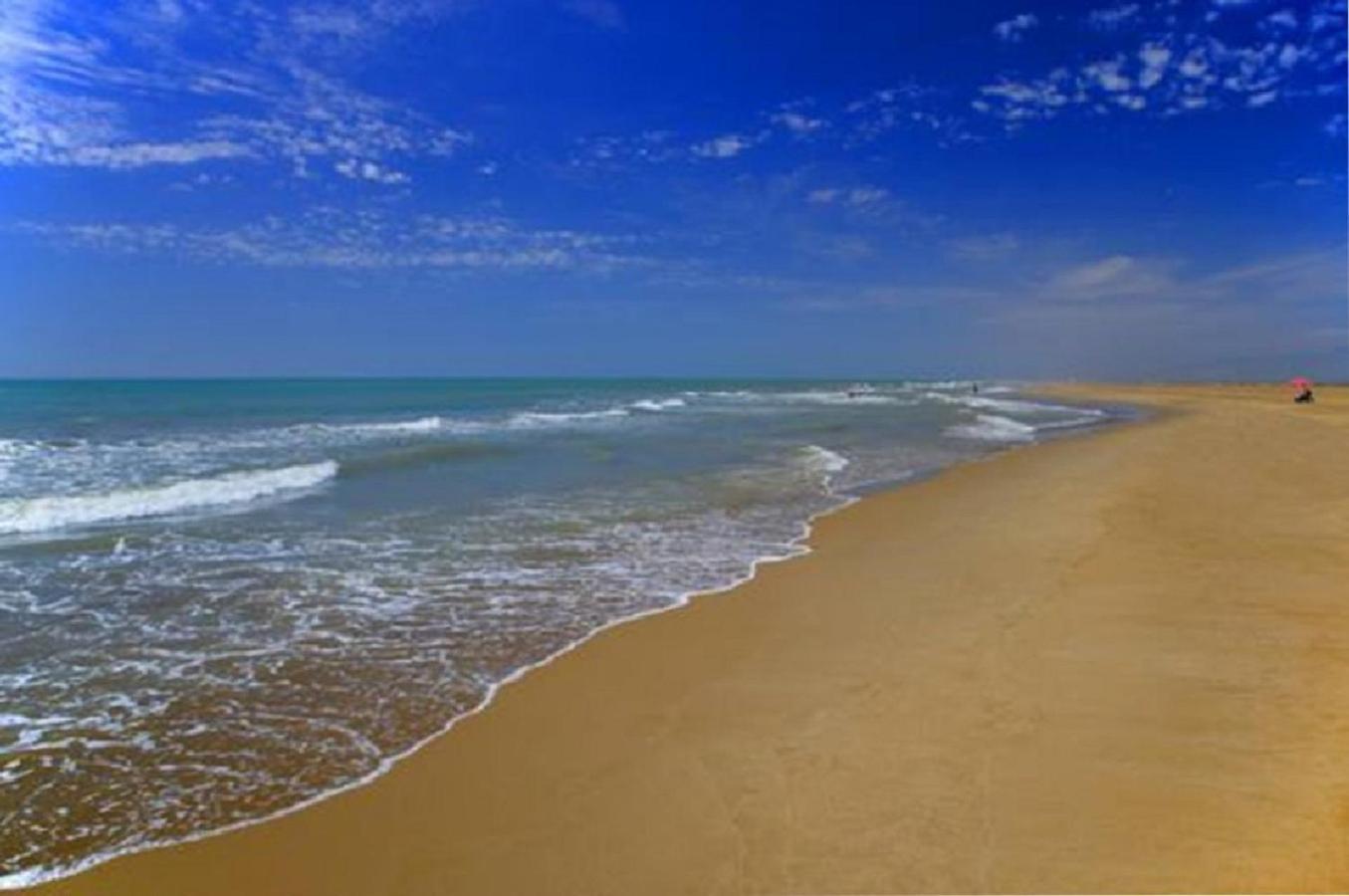 Mas Illa De Riu - Autentica Masia Del Delta Del Ebro Con Capacidad Para 20 Personas - Deltavacaciones 圣海梅-德恩韦哈 外观 照片