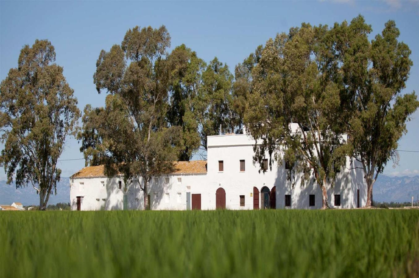Mas Illa De Riu - Autentica Masia Del Delta Del Ebro Con Capacidad Para 20 Personas - Deltavacaciones 圣海梅-德恩韦哈 外观 照片