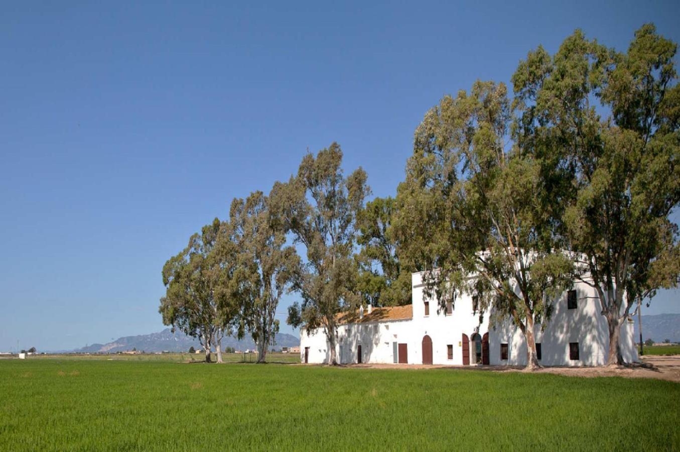 Mas Illa De Riu - Autentica Masia Del Delta Del Ebro Con Capacidad Para 20 Personas - Deltavacaciones 圣海梅-德恩韦哈 外观 照片