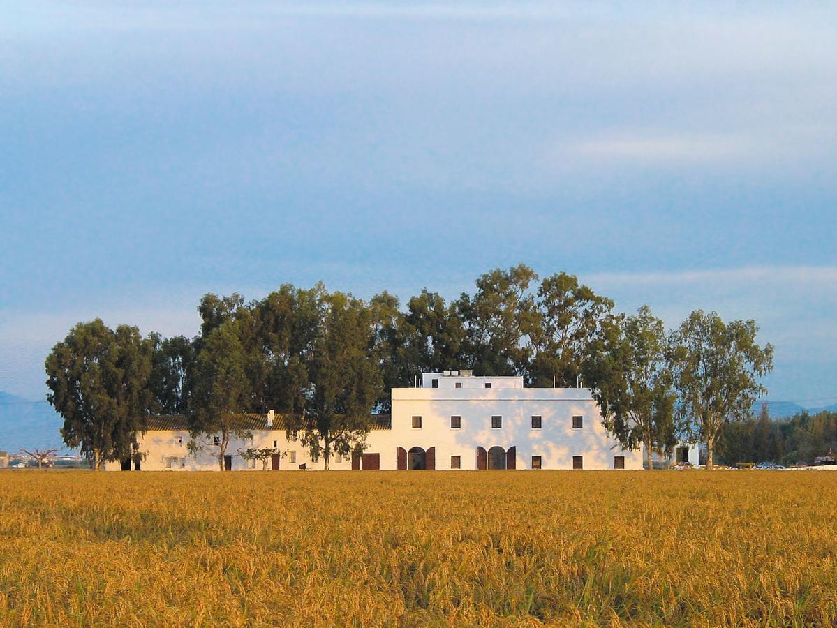 Mas Illa De Riu - Autentica Masia Del Delta Del Ebro Con Capacidad Para 20 Personas - Deltavacaciones 圣海梅-德恩韦哈 外观 照片