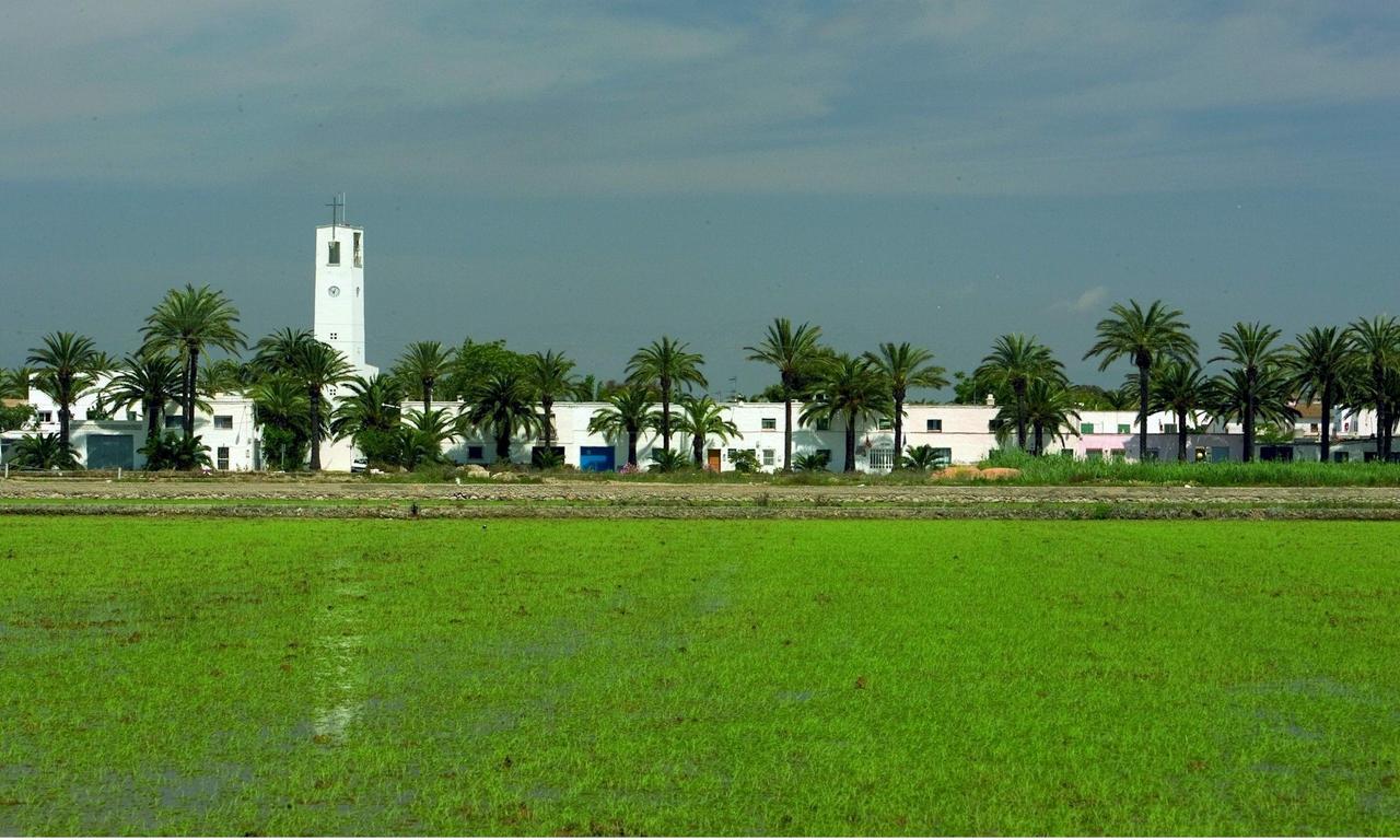 Mas Illa De Riu - Autentica Masia Del Delta Del Ebro Con Capacidad Para 20 Personas - Deltavacaciones 圣海梅-德恩韦哈 外观 照片