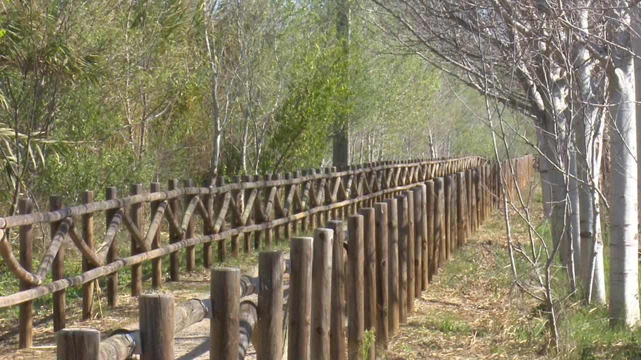 Mas Illa De Riu - Autentica Masia Del Delta Del Ebro Con Capacidad Para 20 Personas - Deltavacaciones 圣海梅-德恩韦哈 外观 照片